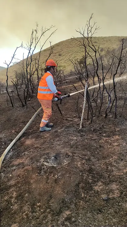 Operasyon Fotoğrafı